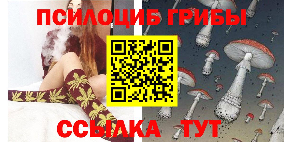 Псилоцибиновые грибы Psilocybe  Вход с VPN  Вичуга 