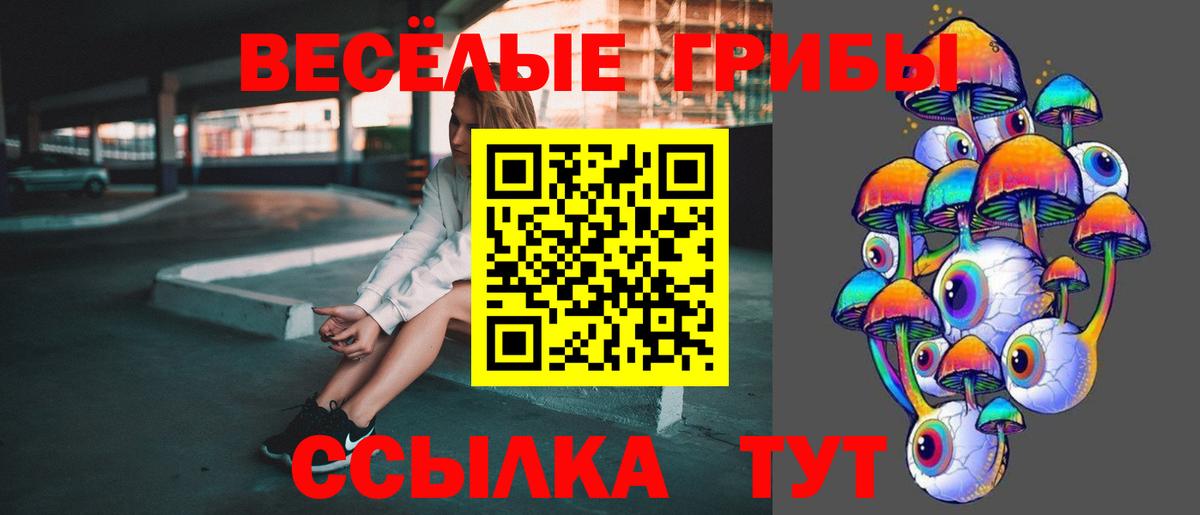 Галлюциногенные грибы мухоморы Вичуга